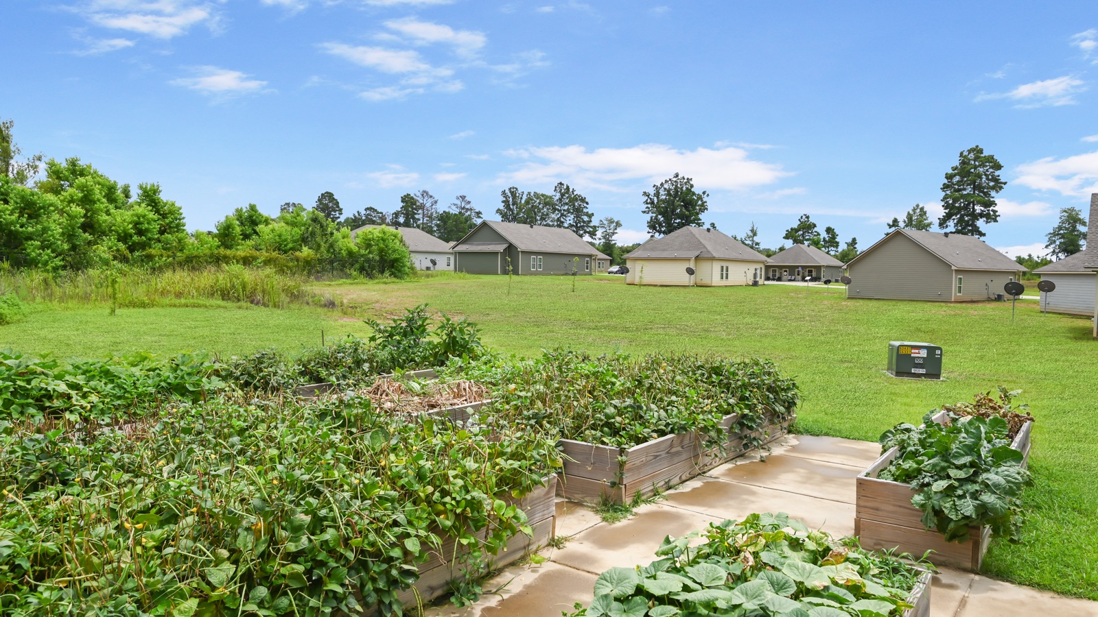 Jonesboro Senior Village community garden